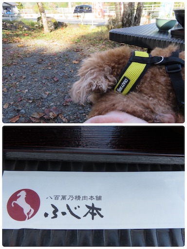 f:id:cookiegenki:20211122205439j:image