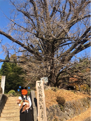 f:id:cookiegenki:20211122210426j:image