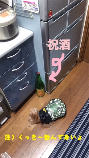 f:id:cookiegenki:20220104111258j:image
