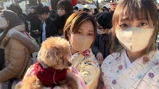 f:id:cookiegenki:20220104160411j:image