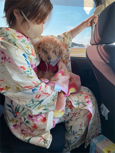 f:id:cookiegenki:20220104160413j:image
