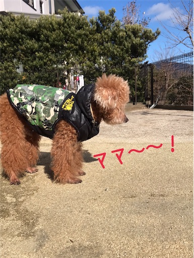 f:id:cookiegenki:20220114144816j:image