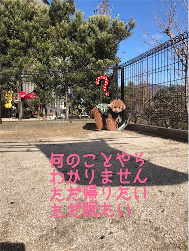 f:id:cookiegenki:20220114145715j:image