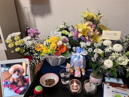 f:id:cookiegenki:20220504212557j:image f:id:cookiegenki:20220504212557j:image