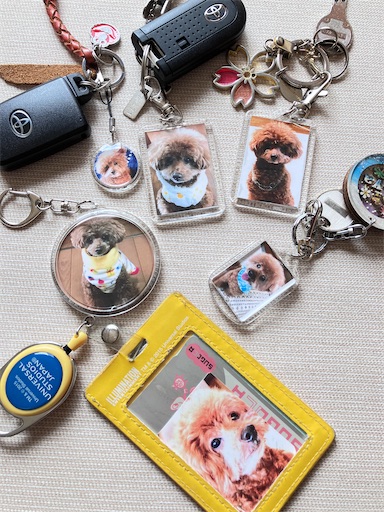f:id:cookiegenki:20220512151141j:image