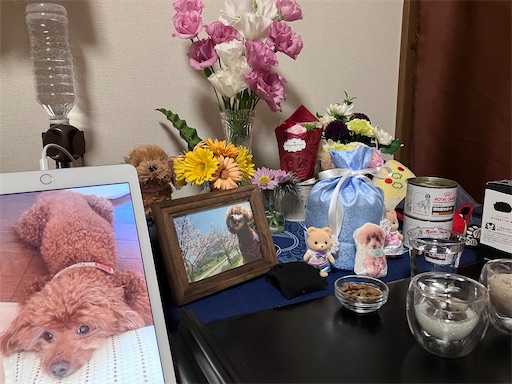 f:id:cookiegenki:20220526111152j:image f:id:cookiegenki:20220526111152j:image