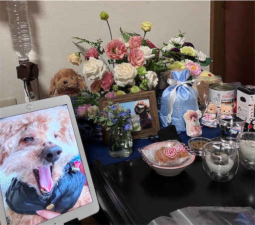 f:id:cookiegenki:20220614102333j:image f:id:cookiegenki:20220614102333j:image