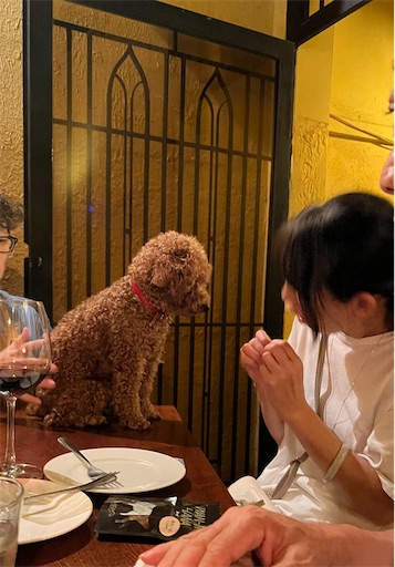 f:id:cookiegenki:20220801111912j:image f:id:cookiegenki:20220801111912j:image