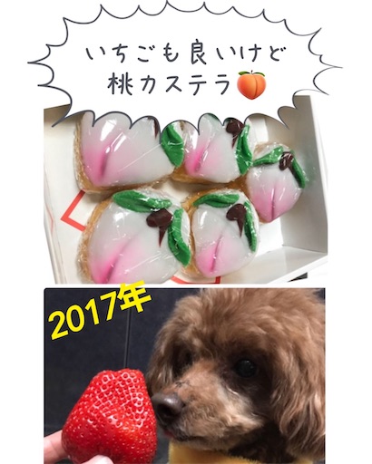 f:id:cookiegenki:20230219164506j:image f:id:cookiegenki:20230219164506j:image