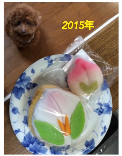 f:id:cookiegenki:20230219164510j:image f:id:cookiegenki:20230219164510j:image