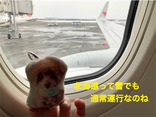 f:id:cookiegenki:20230219210032j:image f:id:cookiegenki:20230219210032j:image
