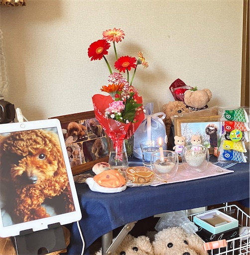 f:id:cookiegenki:20240425143835j:image f:id:cookiegenki:20240425143835j:image