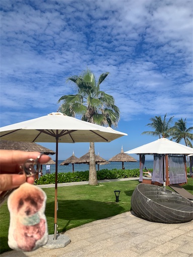 f:id:cookiegenki:20251116174522j:image