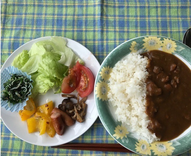 スパイシーカレーランチ ふわふわの豆腐ハンバーグ定食 レシピ付き マムのおうちごはん