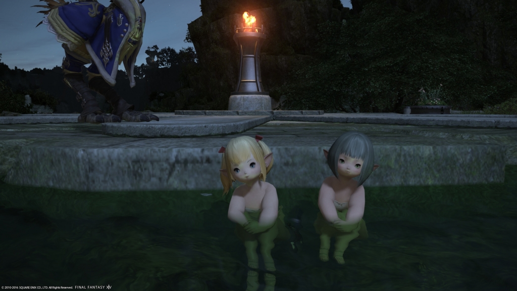 Cooky Apricot Blog Entry 激突 憤怒の蛮神タイタン Final Fantasy Xiv The Lodestone
