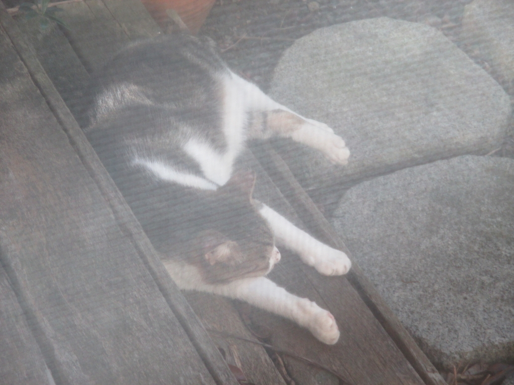 f:id:coolmactatuki:20180831160034j:plain f:id:coolmactatuki:20180831160034j:plain