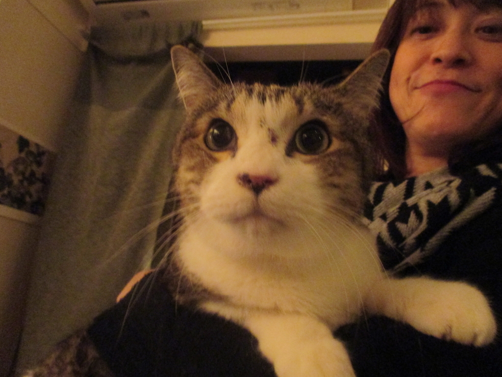 f:id:coolmactatuki:20180930132327j:plain f:id:coolmactatuki:20180930132327j:plain