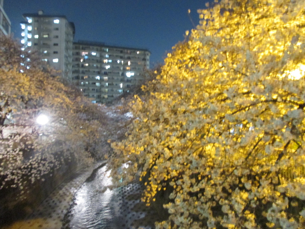 f:id:coolmactatuki:20190309112242j:plain