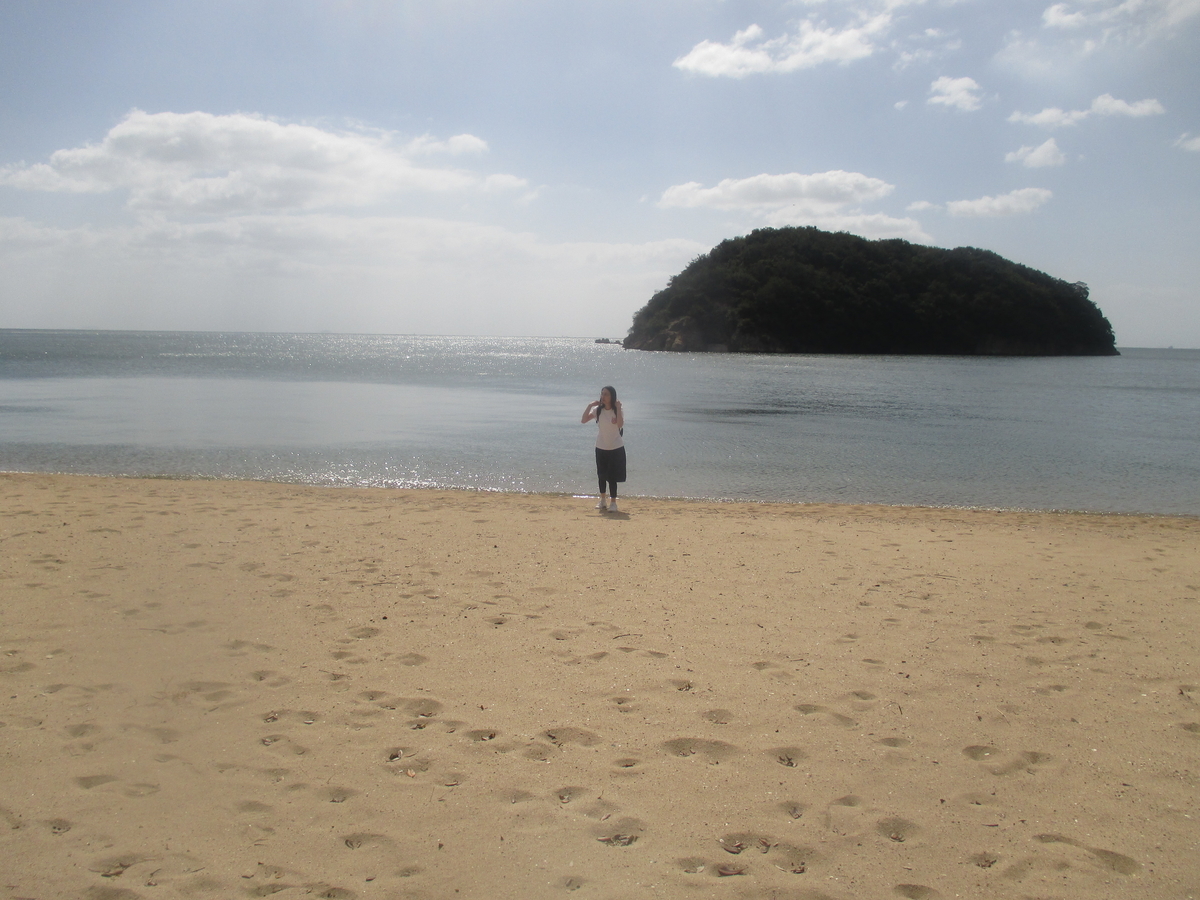 f:id:coolmactatuki:20191231081616j:plain