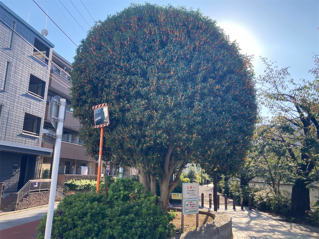 f:id:coolmactatuki:20231017153221j:image