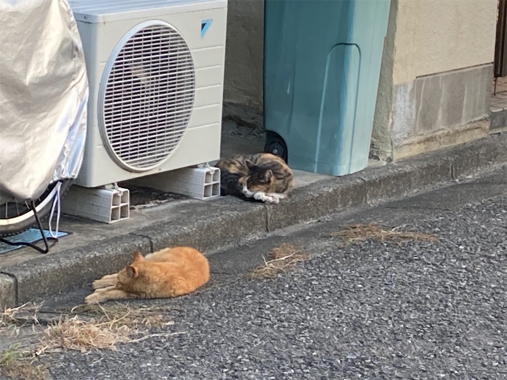 f:id:coolmactatuki:20231024174205j:image