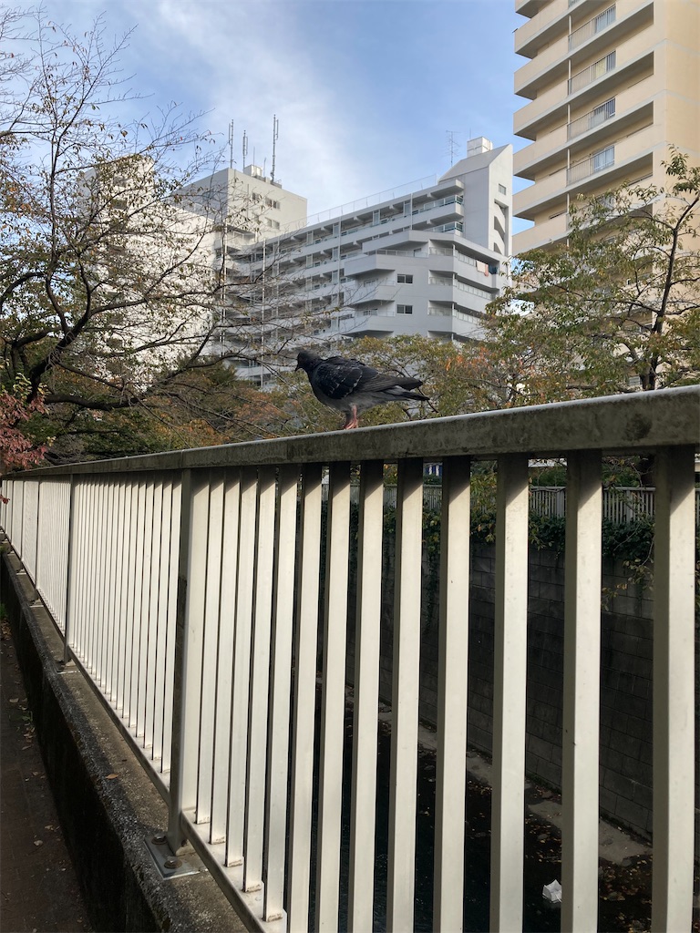 f:id:coolmactatuki:20231116164601j:image