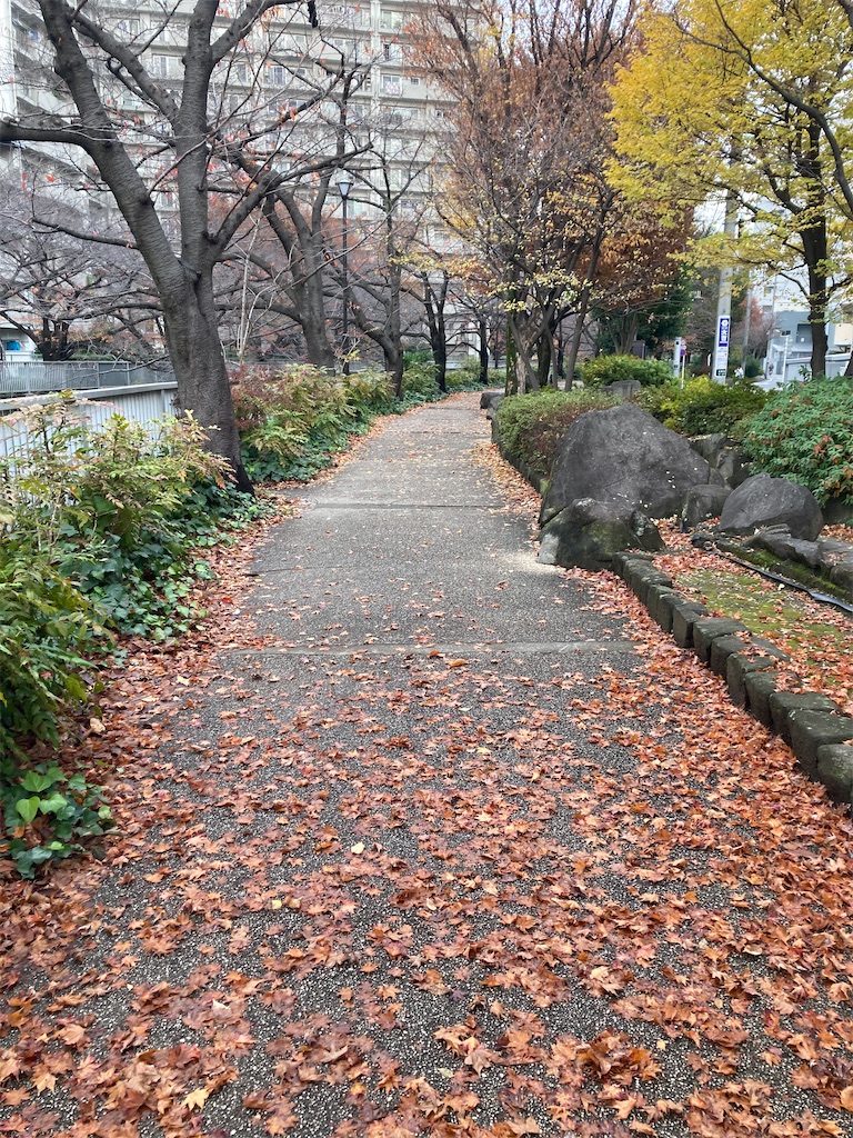 f:id:coolmactatuki:20231212165324j:image