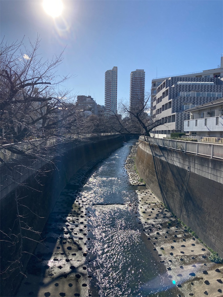 f:id:coolmactatuki:20240125155641j:image f:id:coolmactatuki:20240125155641j:image