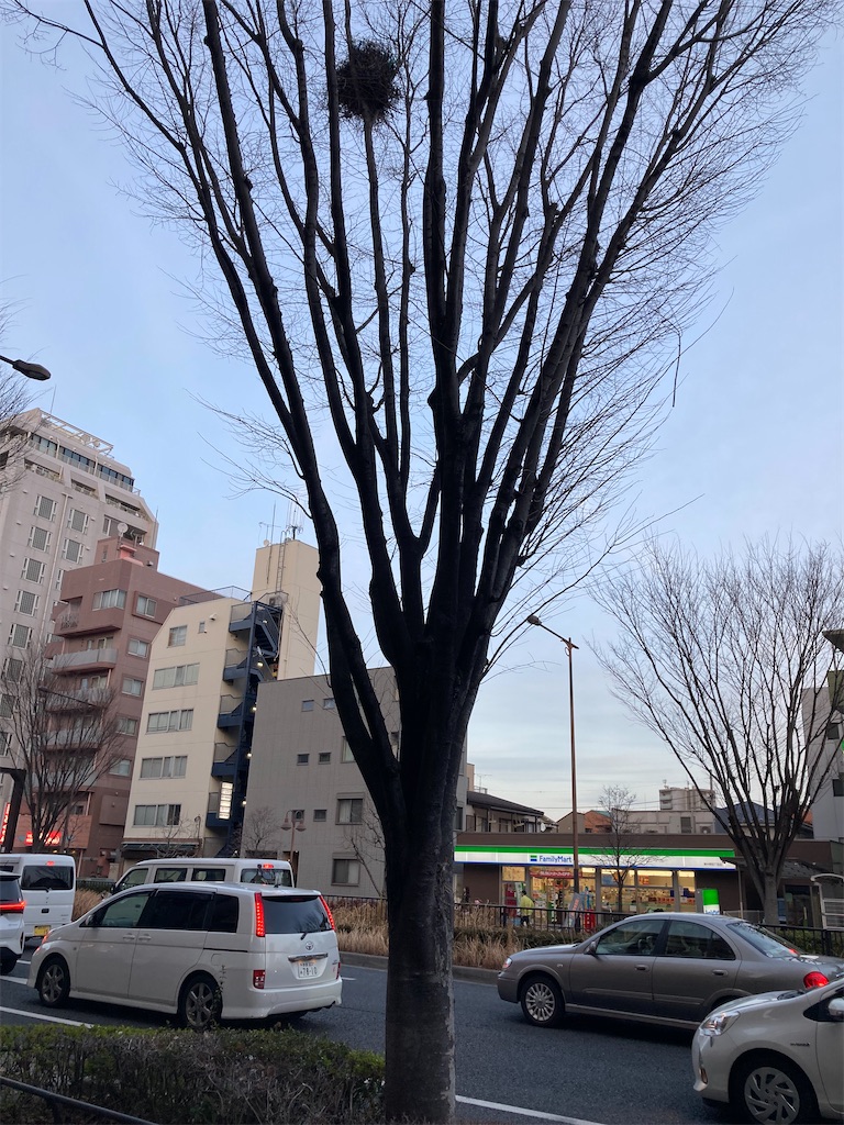 f:id:coolmactatuki:20240224194745j:image