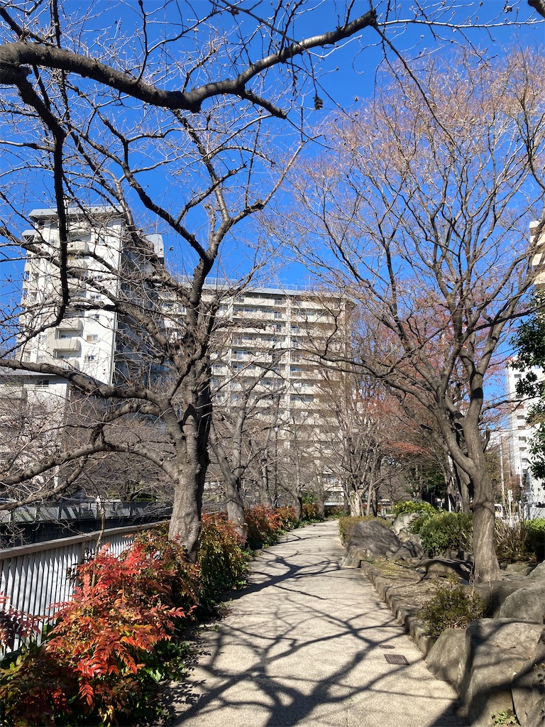 f:id:coolmactatuki:20240327154205j:image