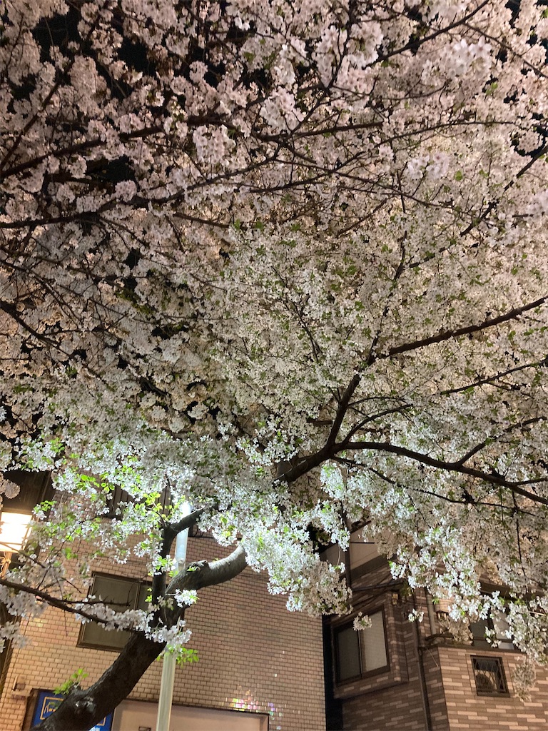 f:id:coolmactatuki:20240406095130j:image