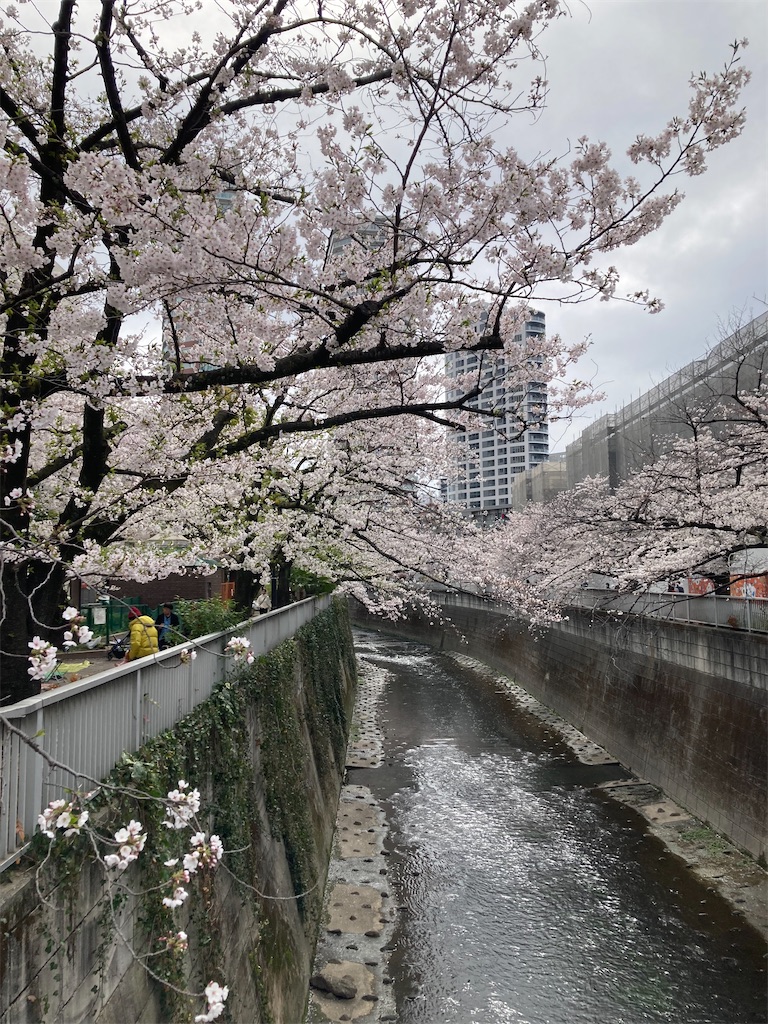 f:id:coolmactatuki:20240407114021j:image f:id:coolmactatuki:20240407114021j:image