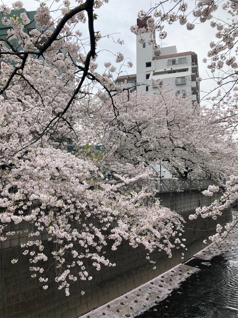 f:id:coolmactatuki:20240408152648j:image