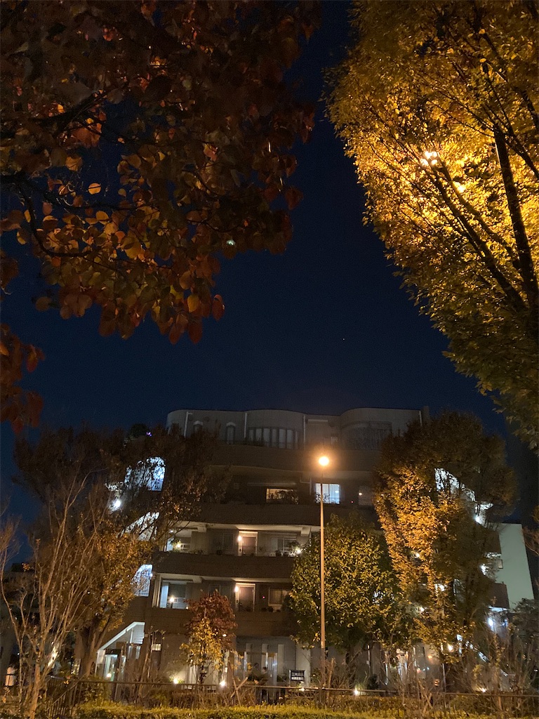 f:id:coolmactatuki:20241129143238j:image