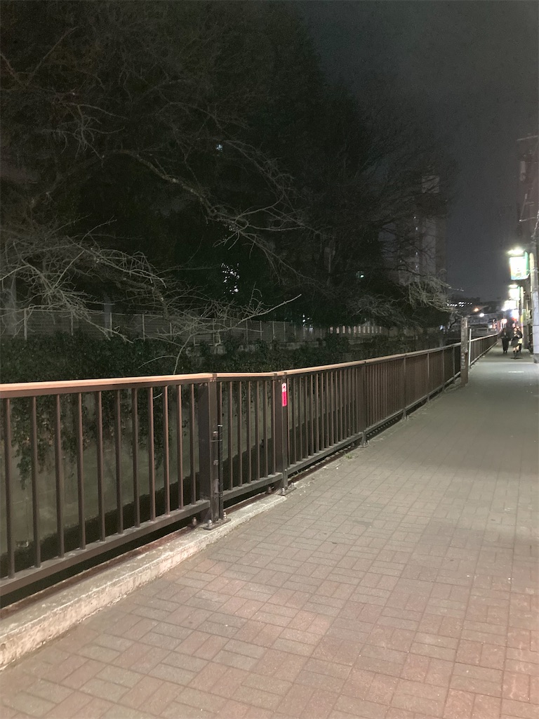 f:id:coolmactatuki:20250302070650j:image