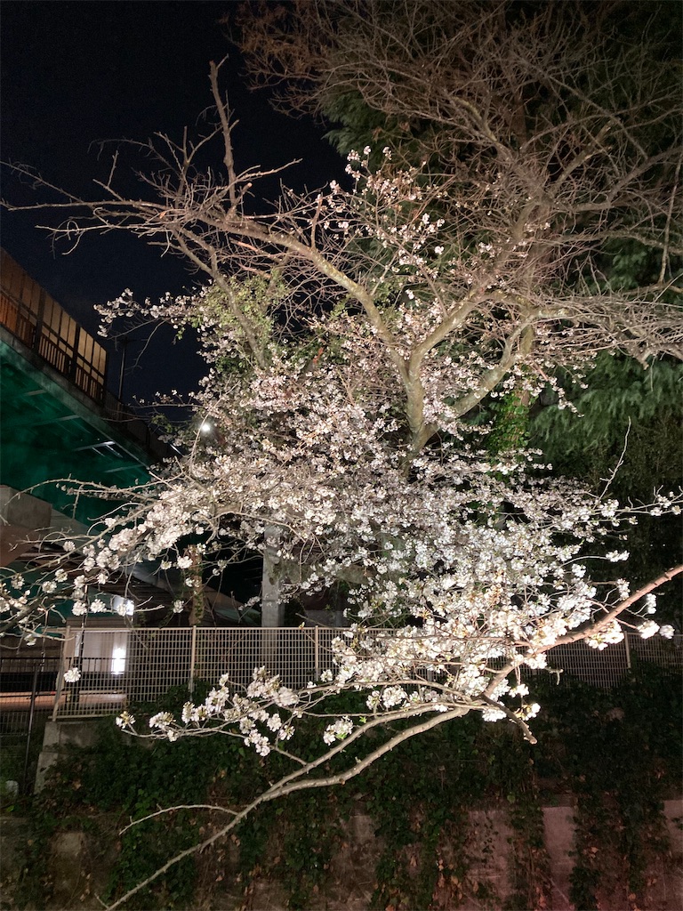 f:id:coolmactatuki:20250331105718j:image