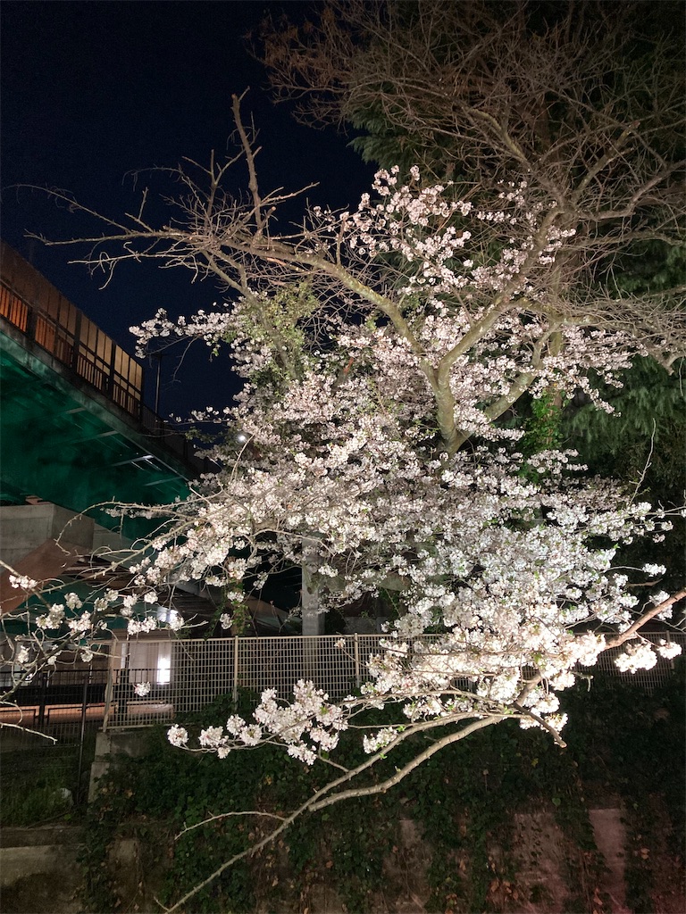 f:id:coolmactatuki:20250407135200j:image