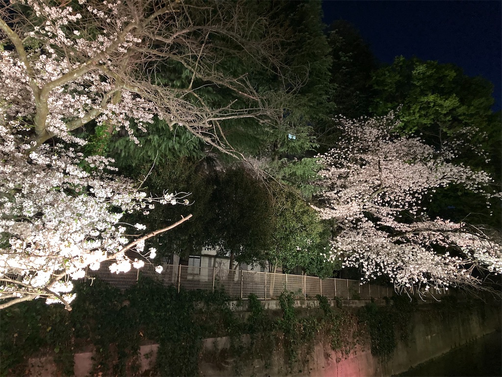 f:id:coolmactatuki:20250407135250j:image