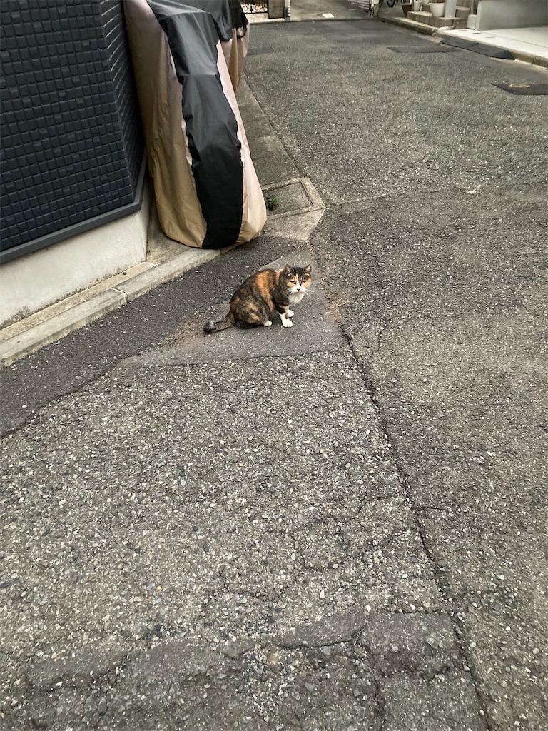 f:id:coolmactatuki:20251115093030j:image f:id:coolmactatuki:20251115093030j:image