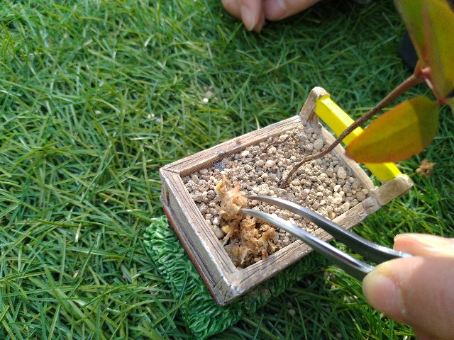 f:id:coolmasuo:20200429033110j:image