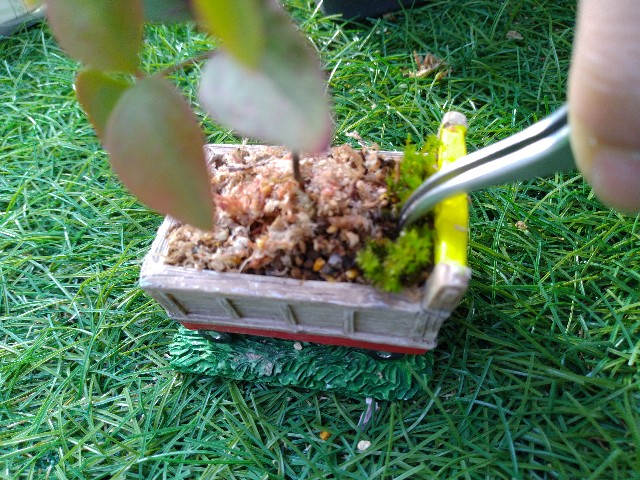 f:id:coolmasuo:20200429033243j:image