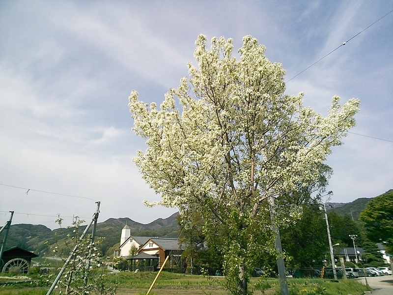 イメージ 2
