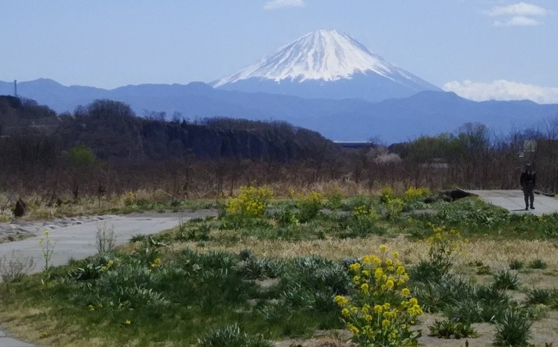イメージ 5