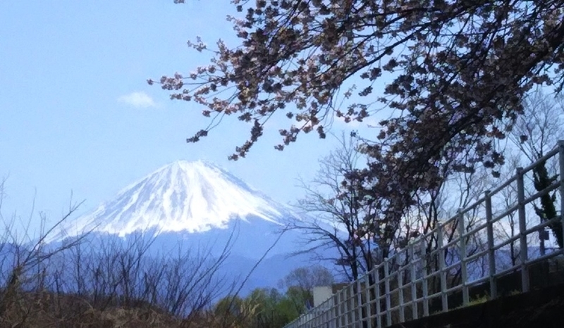 イメージ 6