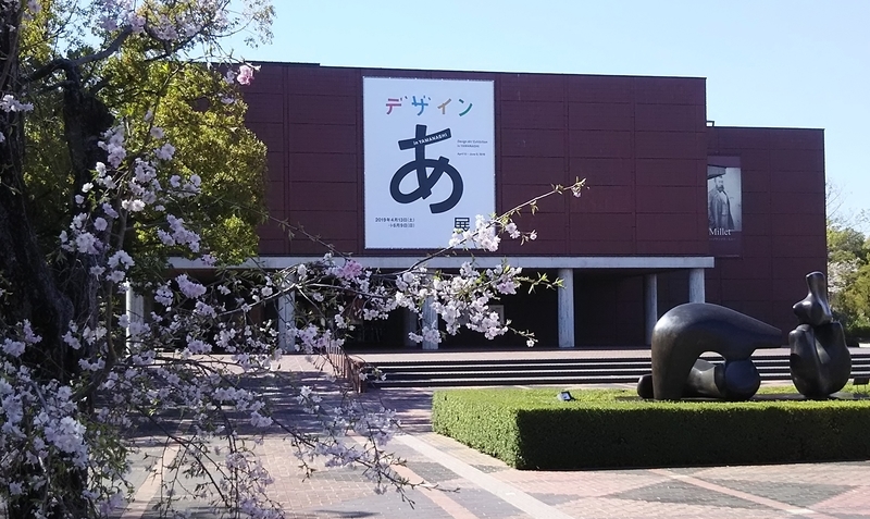 イメージ 8