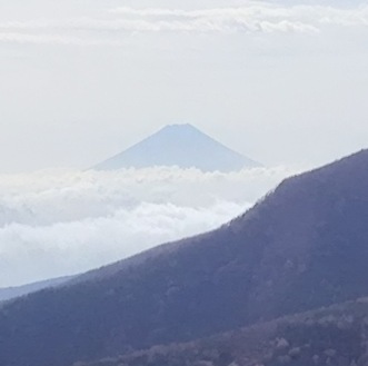 イメージ 14
