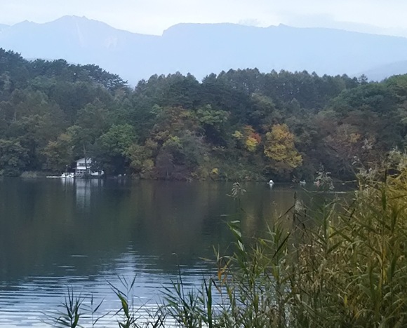 イメージ 9