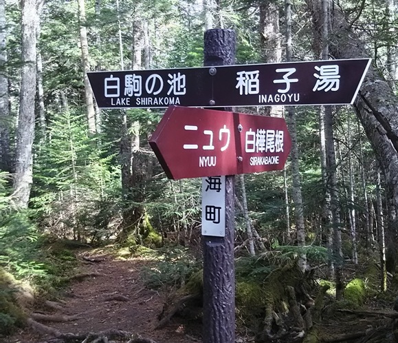 イメージ 10