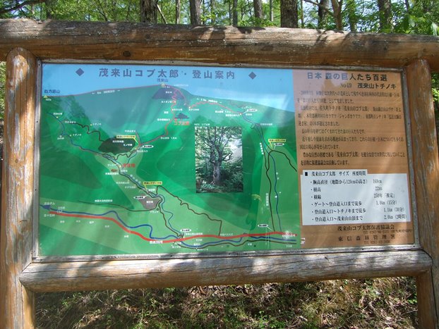 イメージ 11