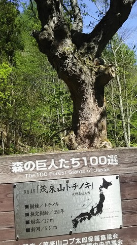 イメージ 2
